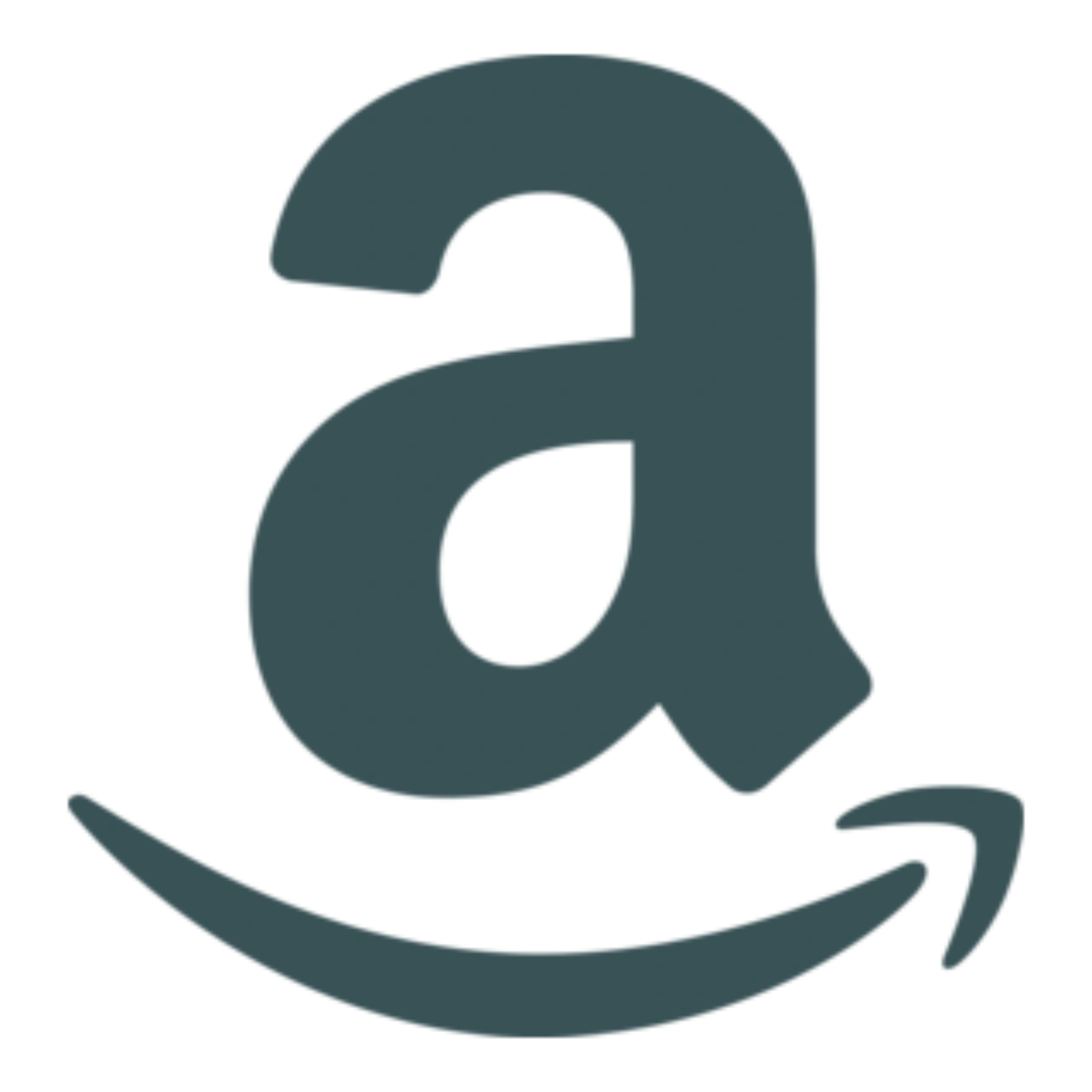 Amazon Logo
